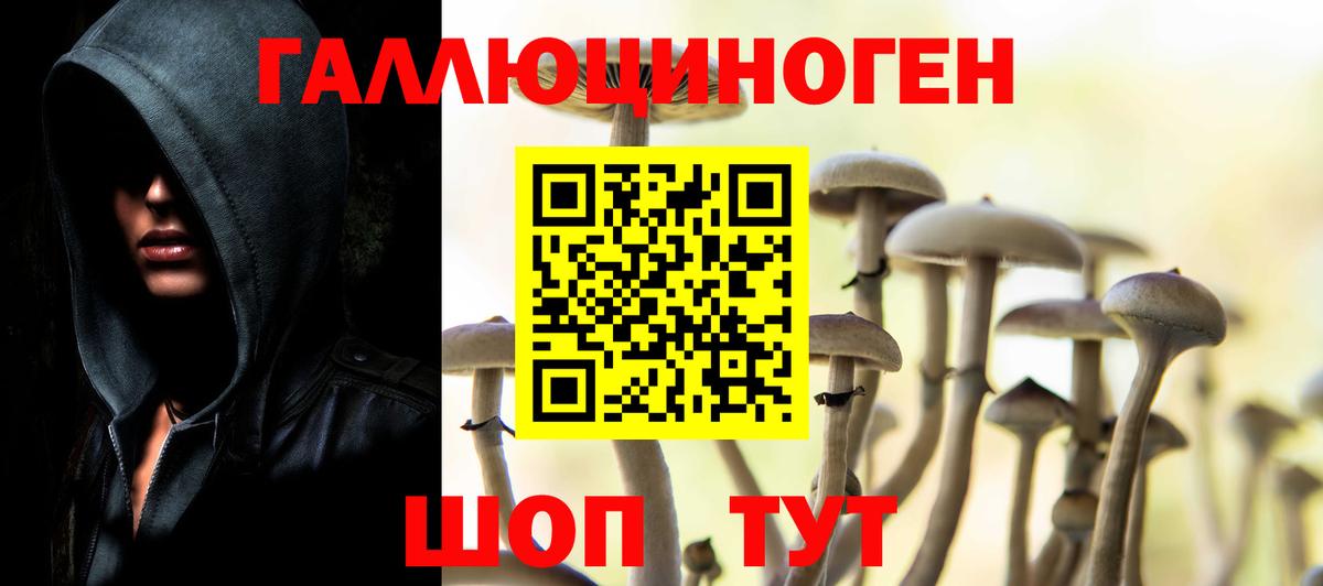 Псилоцибиновые грибы Cubensis Карабулак